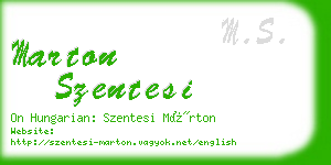 marton szentesi business card